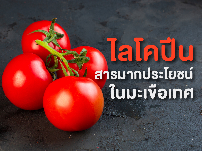 “ไลโคปีน” สารมหัศจรรย์มากคุณประโยชน์ในมะเขือเทศ